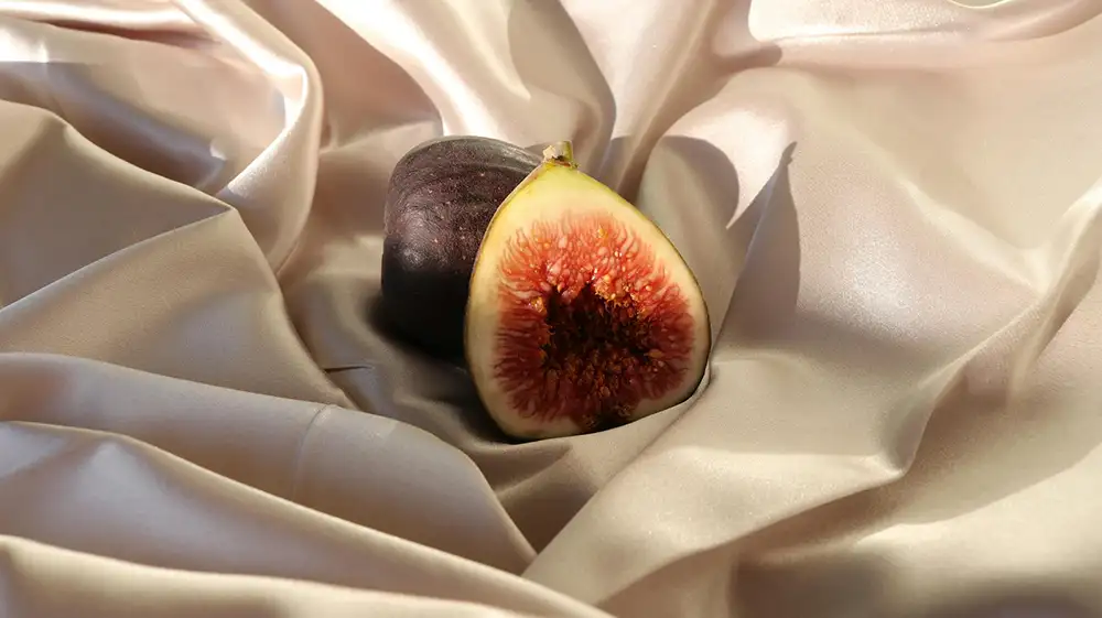 fig fruit